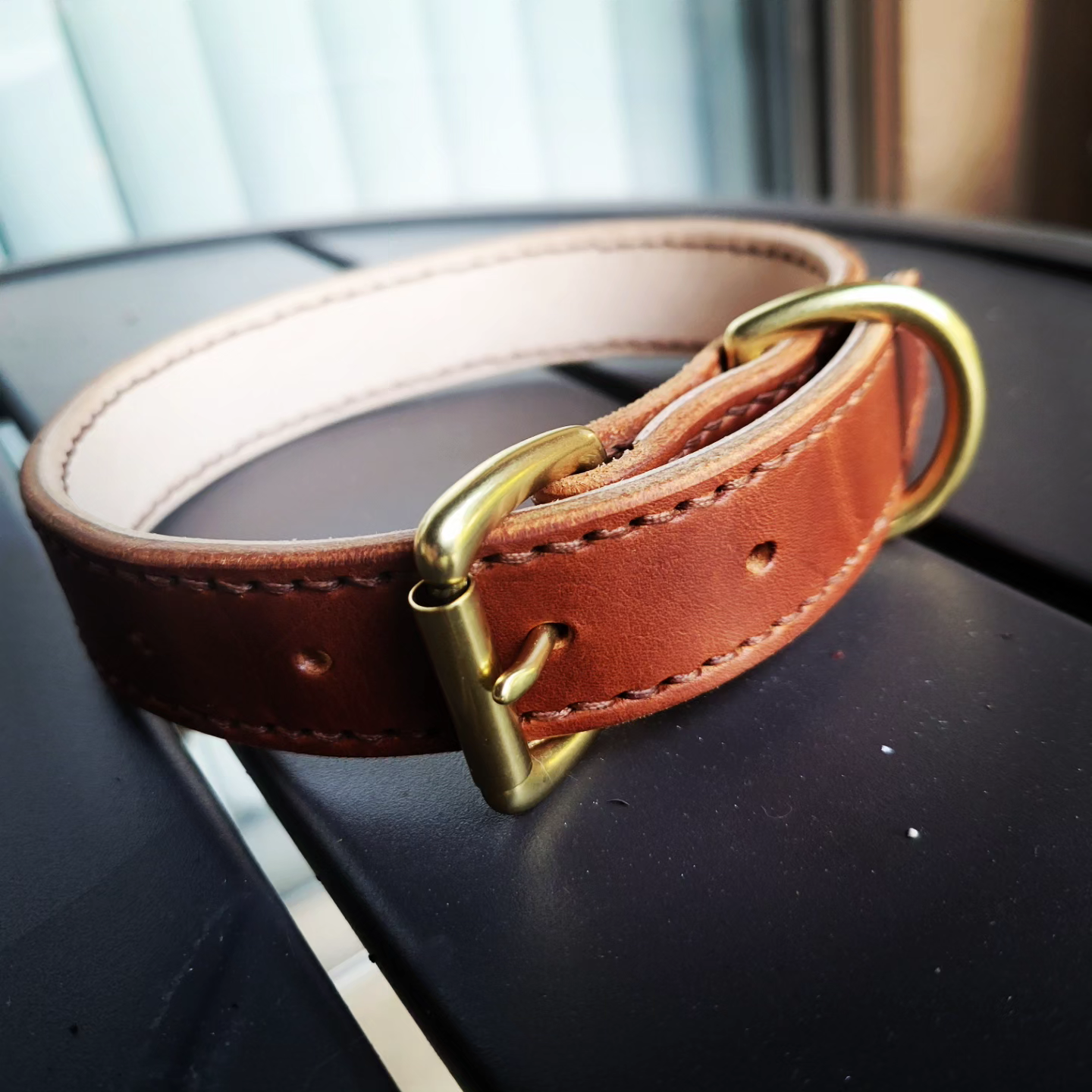 Dog Collar - Adventurer